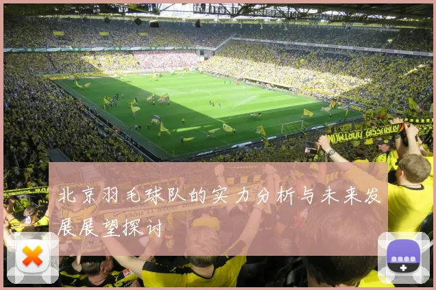 北京羽毛球队的实力分析与未来发展展望探讨