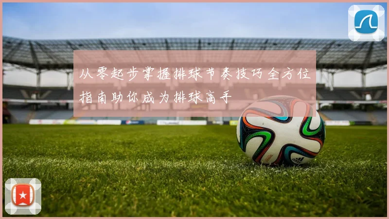 从零起步掌握排球节奏技巧全方位指南助你成为排球高手