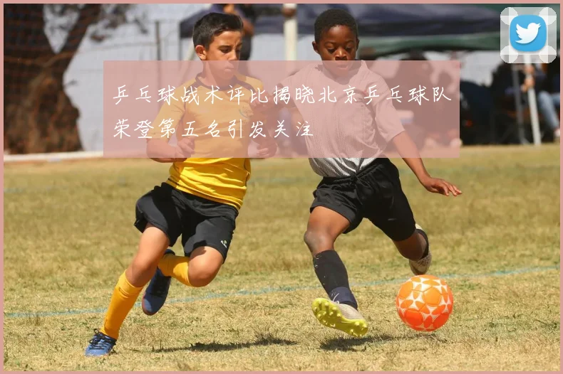 乒乓球战术评比揭晓北京乒乓球队荣登第五名引发关注