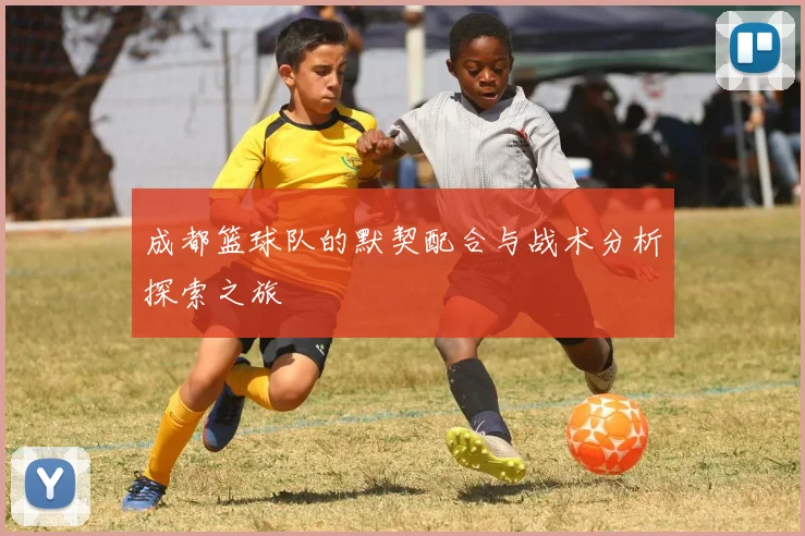 成都篮球队的默契配合与战术分析探索之旅