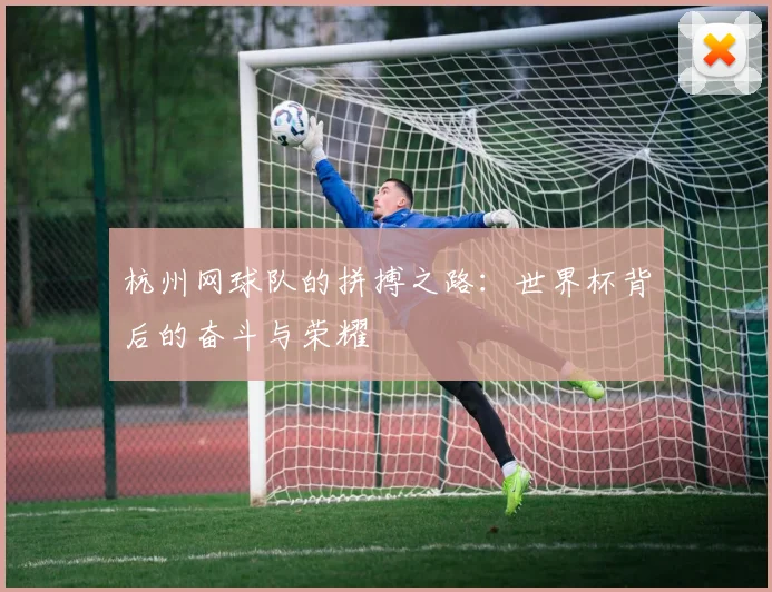 杭州网球队的拼搏之路：世界杯背后的奋斗与荣耀