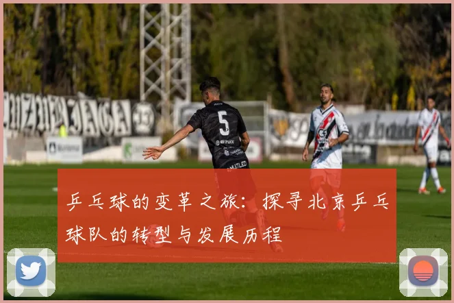 乒乓球的变革之旅：探寻北京乒乓球队的转型与发展历程