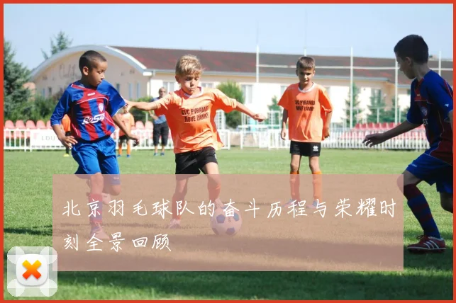北京羽毛球队的奋斗历程与荣耀时刻全景回顾