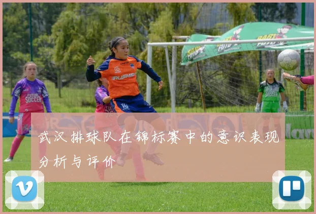 武汉排球队在锦标赛中的意识表现分析与评价