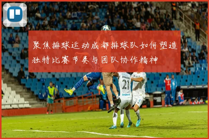 聚焦排球运动成都排球队如何塑造独特比赛节奏与团队协作精神