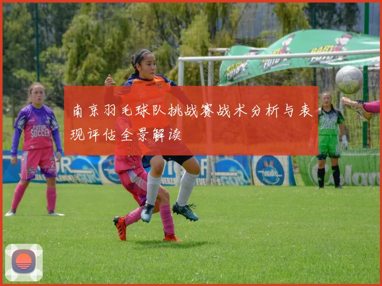 南京羽毛球队挑战赛战术分析与表现评估全景解读